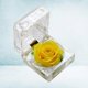 thumbnail image 2 of 1Pcs Preserved Flower Eternity Rose Never Withered Rose Gift for Valentine's Day Birthday and Anniversary with Drawer Gift Box (Yellow), 2 of 3