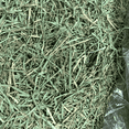 thumbnail image 3 of PASTO TIMOTHY AMERICAN PET 2 BOLSAS American Pet Supplies AM00040, 3 of 7