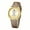 Coffee band_Gold dial, variant on Women's Fashion Quartz Watch – Waterproof Leather Strap Business Wristwatch for Daily Elegance