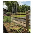 thumbnail image 2 of Bean Tower for Climbing Plants - 6' 3" Galvanized Steel Vine Support - USA Made - Ideal for Pole Beans, Cucumbers, Melons & Squash, 2 of 2