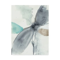 Trademark Fine Art 'Vortex Illusion I' Canvas Art by Jennifer Goldberger