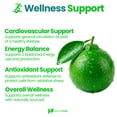 thumbnail image 6 of HealthFare Citrus Bergamot 1200mg | 150 Capsules | Non-GMO, Gluten-Free, Vegan | Made in the USA, 6 of 7