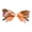 Multicolor Gradient powder, variant on Rhinestone Butterfly Sunglasses Butterfly Sunglasses Women Rimless Sunglasses