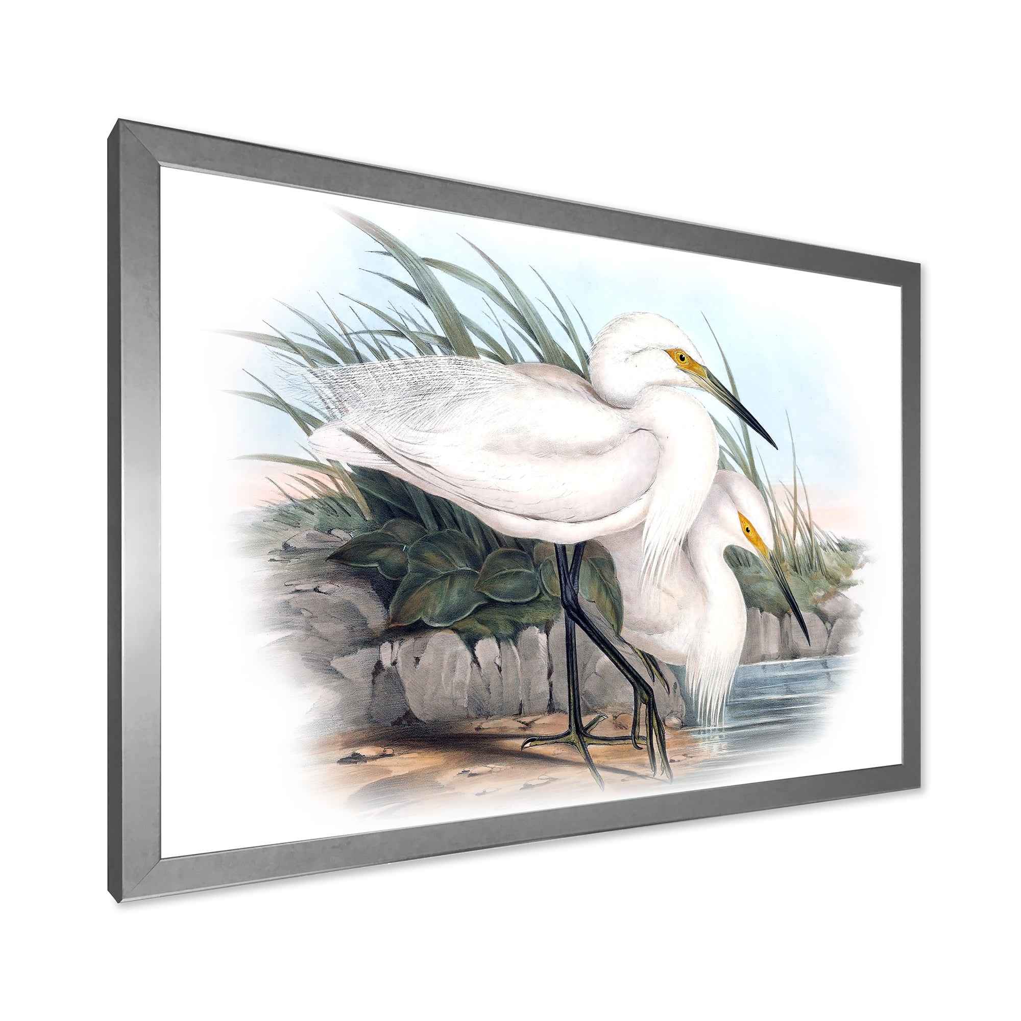 Designart 'Ancient Bird Life I' Traditional Framed Art Print