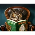thumbnail image 2 of Heffernan, Lucia 24x20 Black Ornate Wood Framed with Double Matting Museum Art Print Titled - Owl Porn, 2 of 4