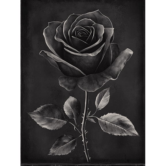Black and White Rose Canvas Wall Art Suitable for Living Room Dining Room Office and Hallway Decoration.