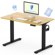 FLEXISPOT 40x24 Home Office Height Adjustable Standing Desk with Hooks, Ergonomic Electric 2-Stage Stand Up Computer Desk, Black and Maple