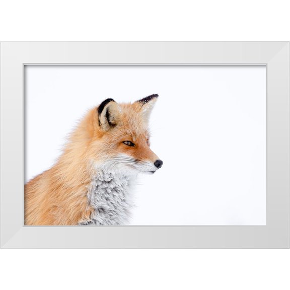 Koko 32x23 White Modern Wood Framed Museum Art Print Titled - Wait for spring