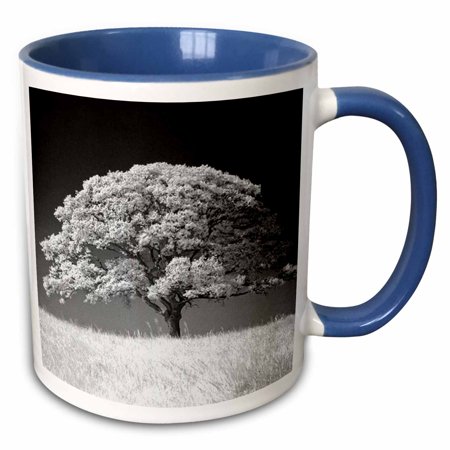 3dRose Large Oak Tree and Grass in B and W - Two Tone Blue Mug,