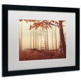 thumbnail image 3 of Trademark Fine Art "The Last of Fall" Canvas Art by Philippe Sainte-Laudy White Matte, Black Frame, 3 of 3