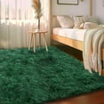 thumbnail image 7 of ASPILLOW Fluffy Area Rugs for Living Room, 5x7 Non Skid Shaggy Carpets for Kids Girls and Boys, Dorms, Nursery Rooms, Home Decor, 7 of 7