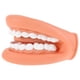 thumbnail image 4 of Modelo de dientes humanos Modelo de dientes estándar dental Modelo de dientes para enseñanza Modelo de dientes dentales Modelo de enseñanza de dientes, 4 of 7