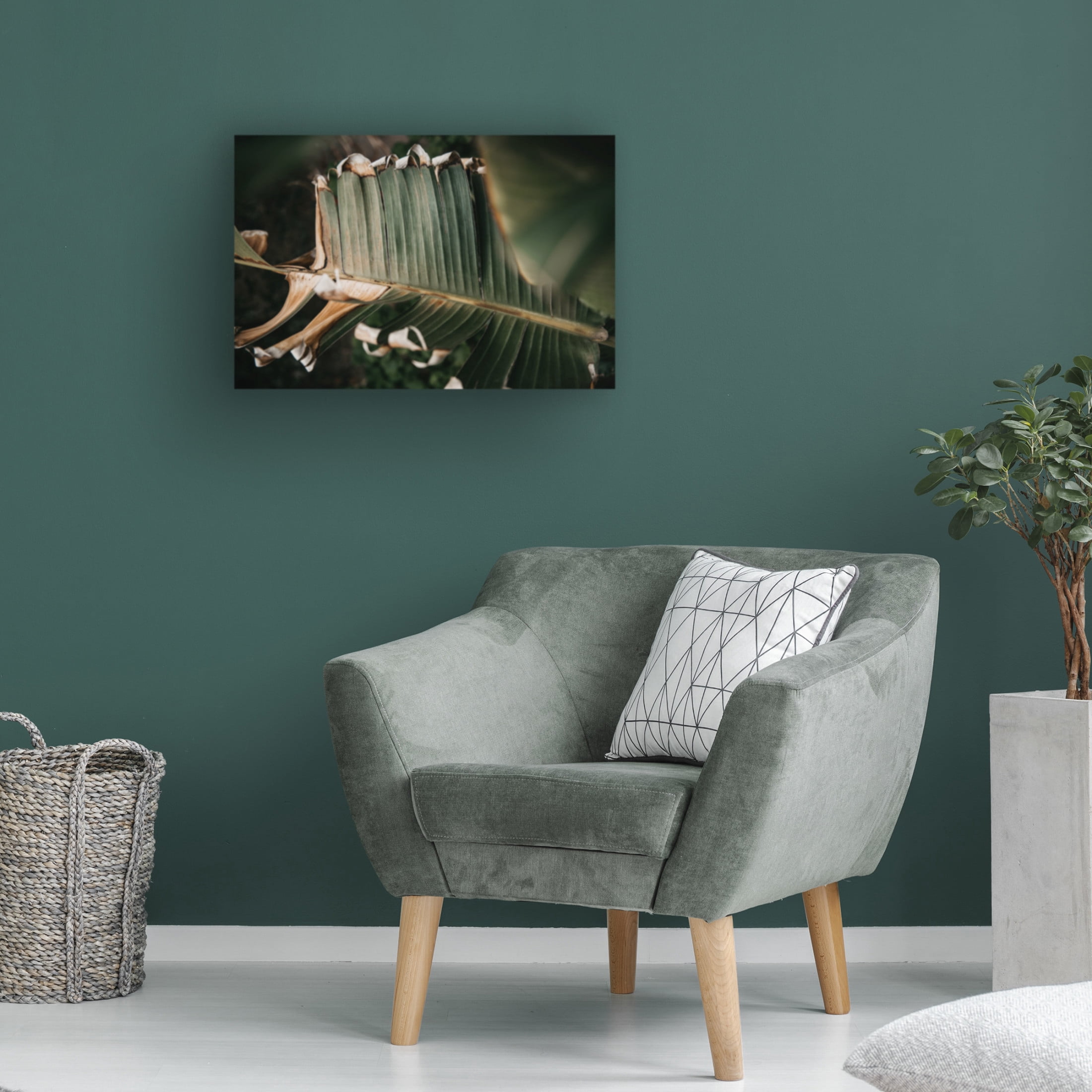 Trademark Fine Art Tim Mossholder Palm Decay Canvas Wall Art