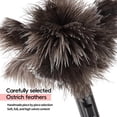 thumbnail image 3 of 2 Pack Retractable Feather Duster - Genuine Ostrich Feathers, Fluffy and Natural Feather Duster Anti-Static,Reusable Eco-Friendly Handheld Cleaning for Keyboard/Home,Car,Office(10 to 15 Inches), 3 of 7