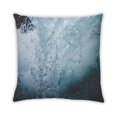 thumbnail image 2 of Ahgly Company Color Focus Blue Outdoor Throw Pillow, 18 inch by 18 inch, 2 of 6