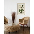 thumbnail image 4 of Marmont Hill "Honeyberry" Framed Painting Print, 4 of 5