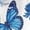 Blue Butterfly Floral, variant on Chririnla Peacock Women's Linen Shirts with Matched Palazzo Pants for Ladies Summer Matching Outfit 3/4 Sleeve Shirt and Wide Leg Pant,Tie Dye Print