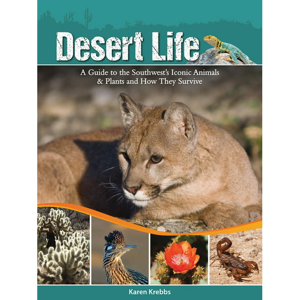 Desert Life : A Guide to the Southwest's Iconic Animals & Plants and How  They Survive (Paperback) 