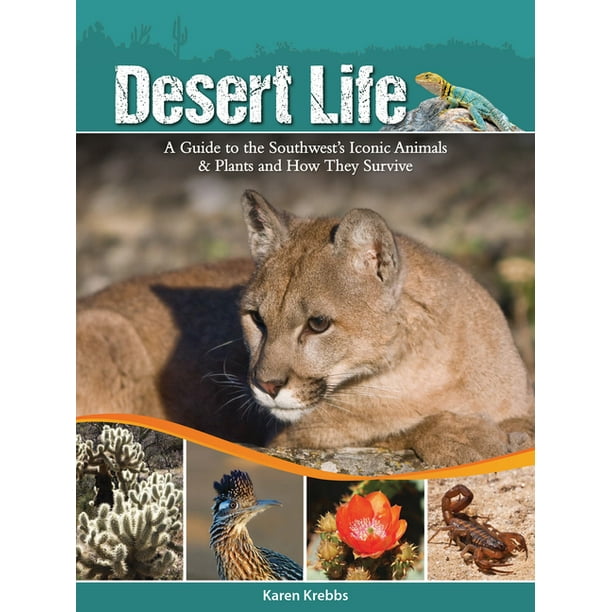 Desert Life : A Guide to the Southwest's Iconic Animals & Plants and How They Survive (Paperback) Desert Life : A Guide to the Southwest's Iconic Animals & Plants and How They Survive (Paperback)