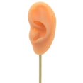 thumbnail image 3 of Earring Display Stand Human Ear Model Stud Decor Earring Display Holder Showcase Jewelry Organizer Left Normal Skin, 3 of 9