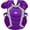 PURPLE, variant on All Star Youth S7 Axis Baseball Catchers Chest Protector (12-16) Royal