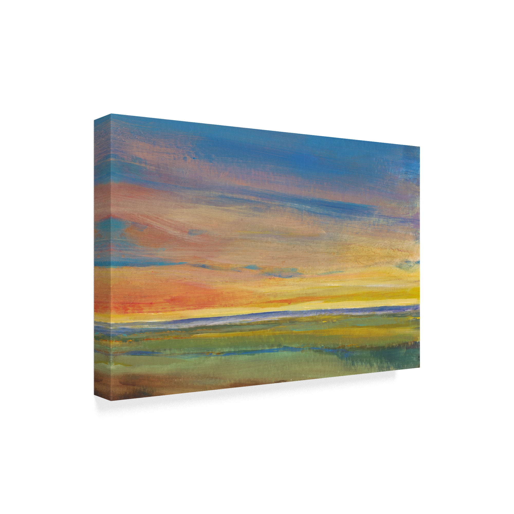 Trademark Fine Art 'Fading Light I' Canvas Art by Tim OToole