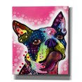 thumbnail image 1 of Epic Graffiti 'Boston Terrier' by Dean Russo, Giclee Canvas Wall Art, 20"x24", 1 of 8
