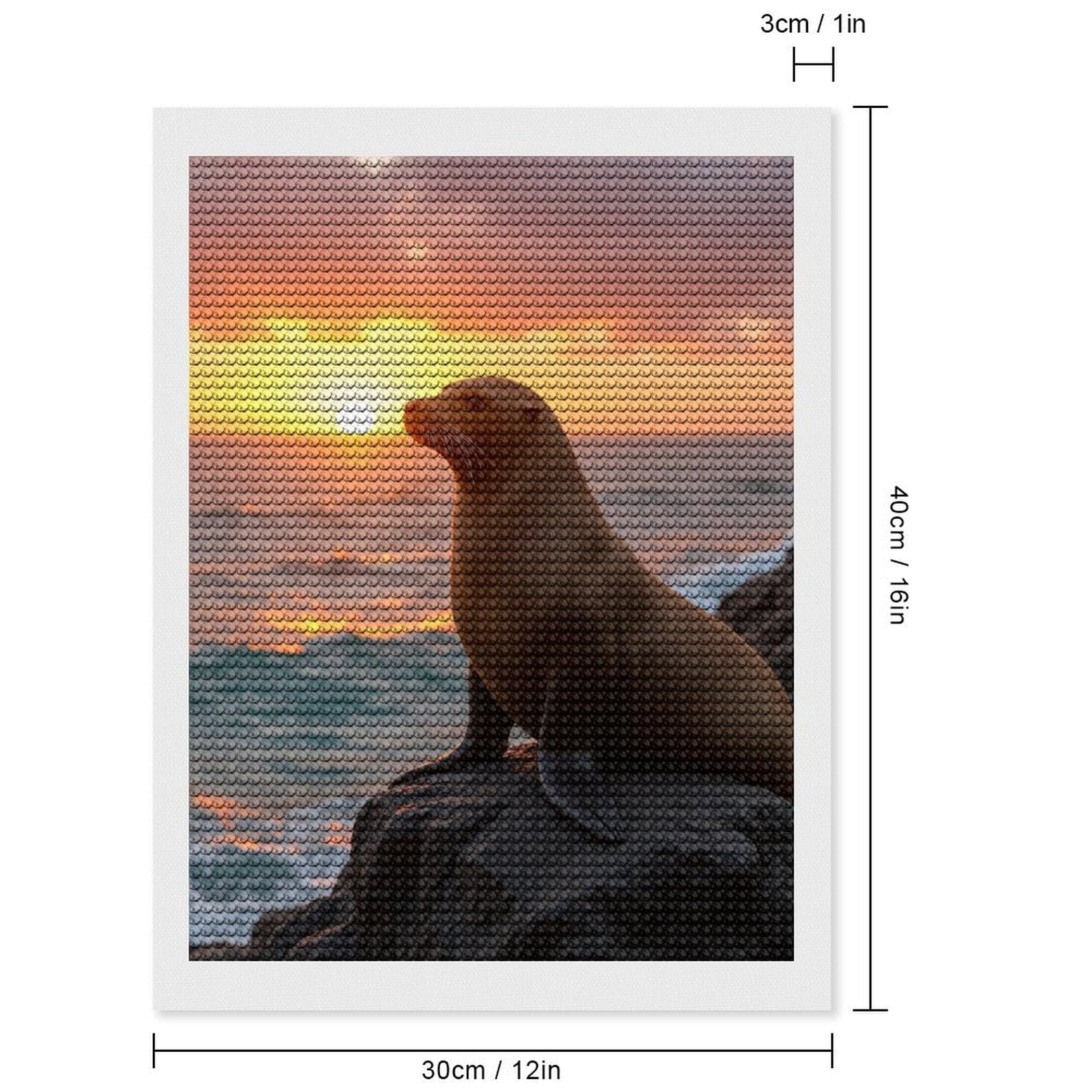 Diamond Art Kits for Adults, Sea Lion Sunset Rock Scene 5D Diamond Painting Kits for Adults Beginners, DIY Full Drill Diamond Painting, Gem Art and Crafts 12x16