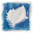 thumbnail image 3 of Robinson, Carol 20x20 Black Modern Framed Museum Art Print Titled - Coastal Washes Shell I, 3 of 5