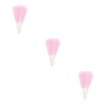 thumbnail image 3 of ZheElen 3pieces Intimate Atmosphere With Artificial Pampas Reed Non-shedding And No Light Pink 3Set, 3 of 6