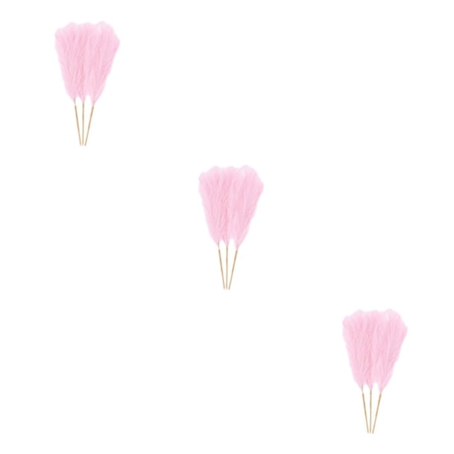 kurtrusly 3pieces Add Touch Of Glamour With Pampas Reed Decoration Non-shedding And No Light Pink 3Set