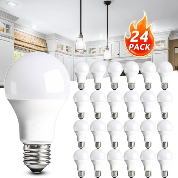 24PC Light Bulb A19 Bulb