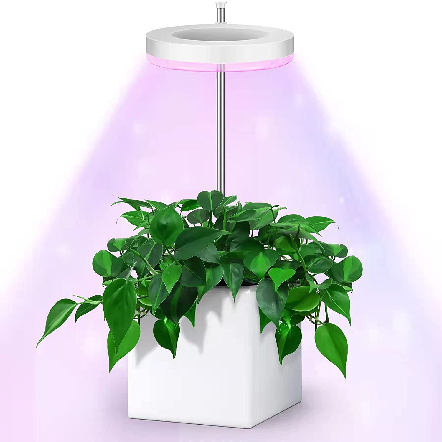 Grow Lights for Indoor Plants Full Spectrum, Small Plant Lights Lamp, Height Adjustable Grow