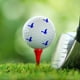 thumbnail image 4 of Pelota de golf Stamper Stamp Marker Acceso de golf duradero de secado rápido, 4 of 7