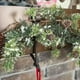 thumbnail image 3 of Soporte para Medias de Navidad, Ajustable, para Colgar Guirnaldas de Chimenea, para Coronas Navideñas, Chimeneas de Escritorio y Enredaderas., 3 of 5
