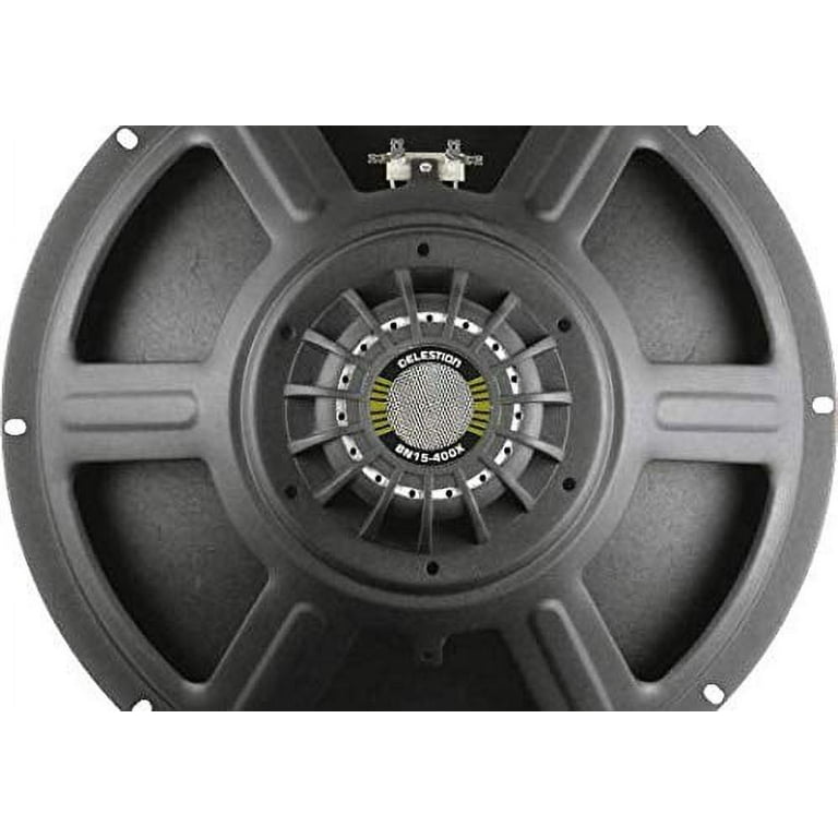 Neodymium guitar speakers sales