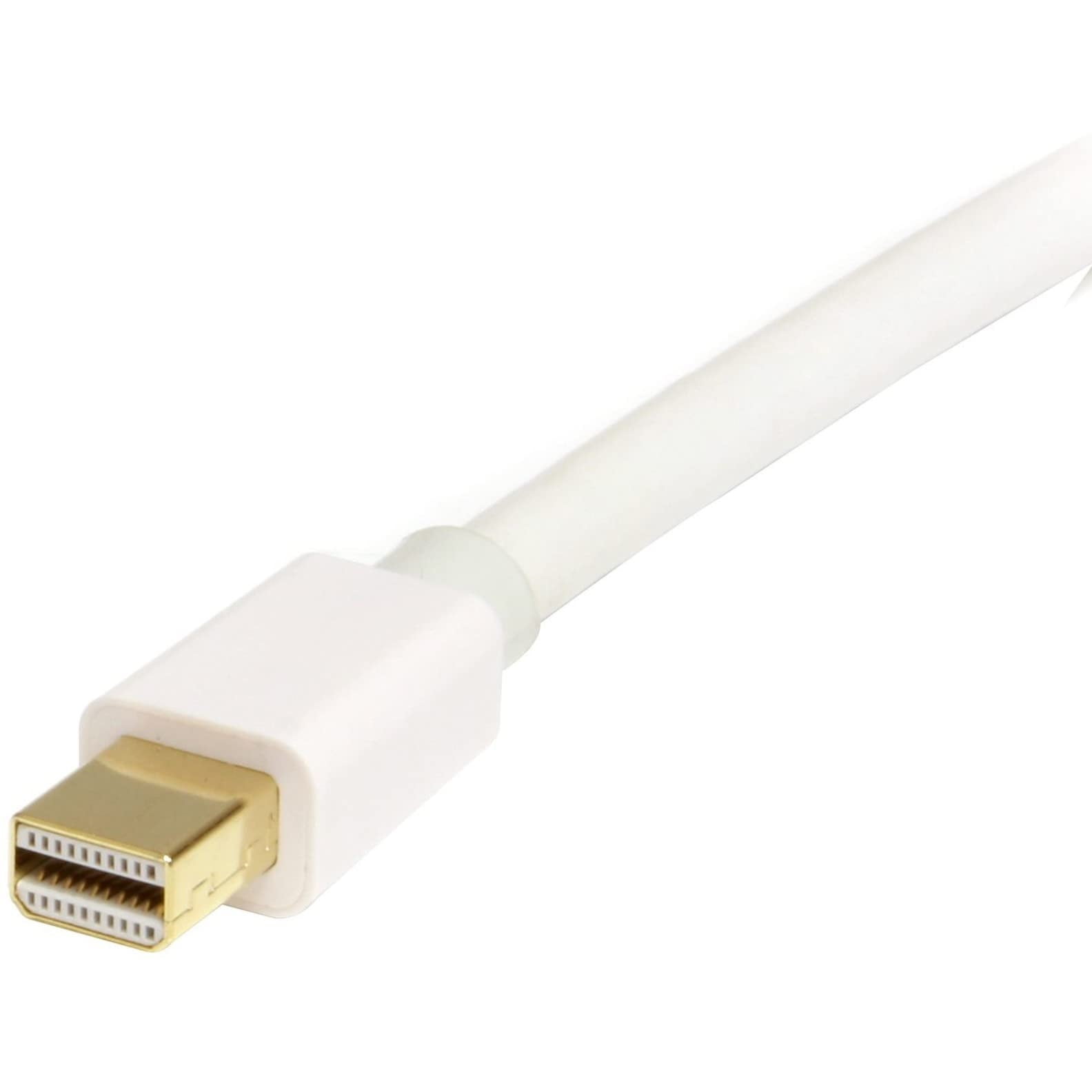 StarTech.com Model MDP2DPMM2MW Mini DisplayPort to DisplayPort Adapter Cable Male to Male