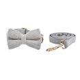 thumbnail image 1 of Light Grey Corduroy Dog Collar And Leash With Custom Engraved Nameplate, 1 of 17