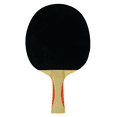 Martin Kilpatrick Blaze Table Tennis Racket - Walmart.com