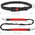 thumbnail image 4 of Wolfrail Hands Free Dog Leash. Multifunctional Dog Running Sports Leash. Adjustable Waist Belt for Medium and Small Dogs. Retractable Bungee Leash for Walking. Running. Hiking and Biking, 4 of 5
