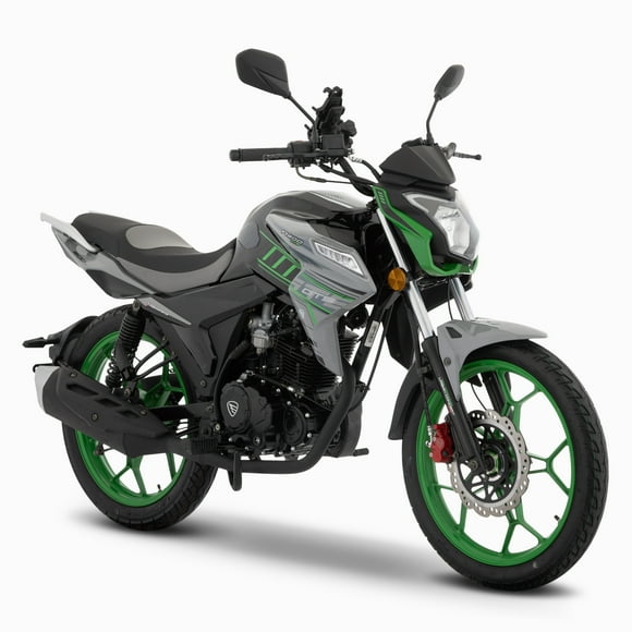 MOTOCICLETA DE TRABAJO ITALIKA FT200 GTS GRIS