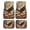 American Flag Eagle Design, variant on Pzuqiu Bold Full Set 4-Piece Car Floor Mats with Fire Flame Print - Durable Non-Slip All Weather Interior Protection