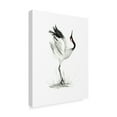 thumbnail image 2 of Trademark Fine Art 'Japanese Cranes I' Canvas Art by Naomi McCavitt, 2 of 4