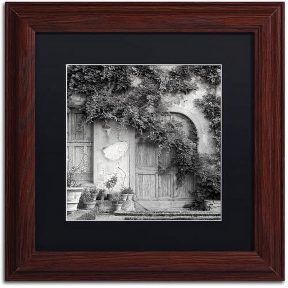 Trademark Fine Art "Tuscany VI" Canvas Art by Alan Blaustein, Black Matte, Wood Frame