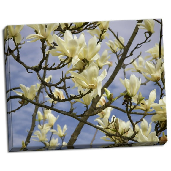 Gango Home Decor Tulip Treer by George Johnson (Ready to Hang); One 28x22in Hand-Stretched Canvas