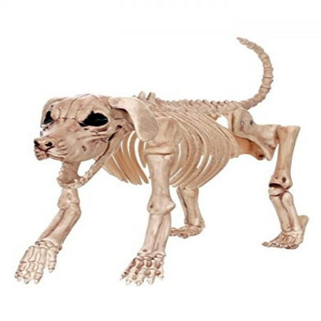 Crazy Bonez Skeleton Dog - Beagle Bonez