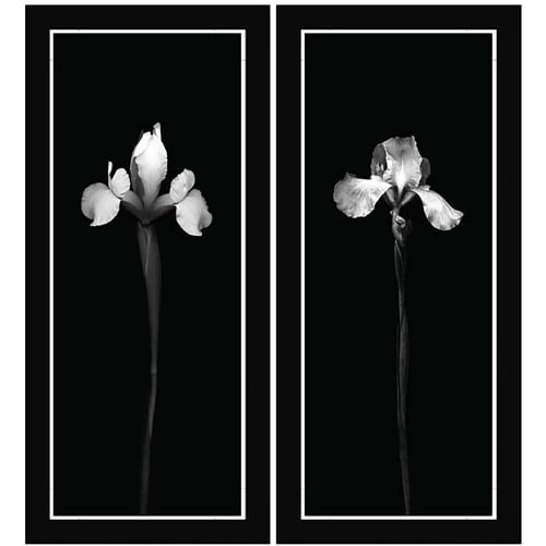 Black and White Flower Floral Wall Art, Set of 2 - Walmart.com
