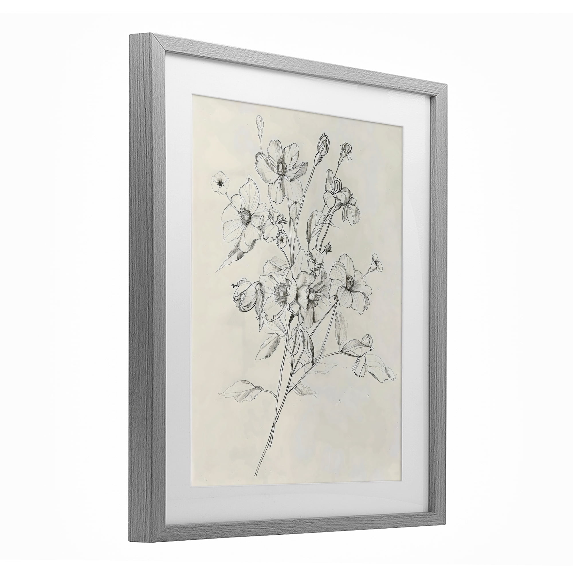 Stupell Industries Wildflower Outline Study Gray Framed Print Under Glass, design by Creative Studio