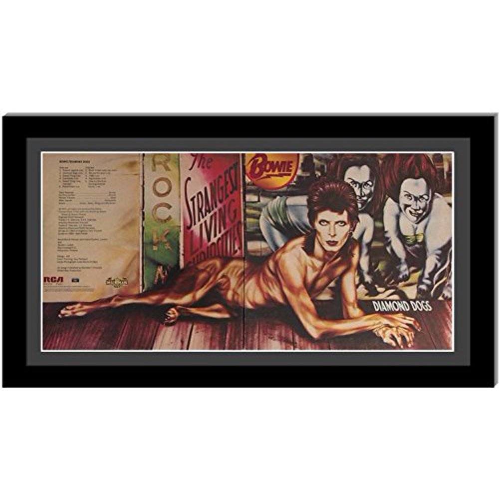 Creative Picture Frames CreativePF [15x28bkb] Double LP Vinyl Record Frame Display with Black