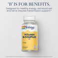 thumbnail image 3 of Solaray Vitamin B-Complex, Healthy Energy & Red Blood Cell Formation Support & More, 100 Servings, 100 VegCaps, 3 of 6